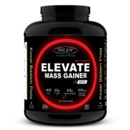 Sinew Nutrition Elevate Mass Gainer, Complex Carb Proteins in 3:1 ratio with DigiEnzymes, 2kg / 4.4lb – Kesar Badam Pista Flavour